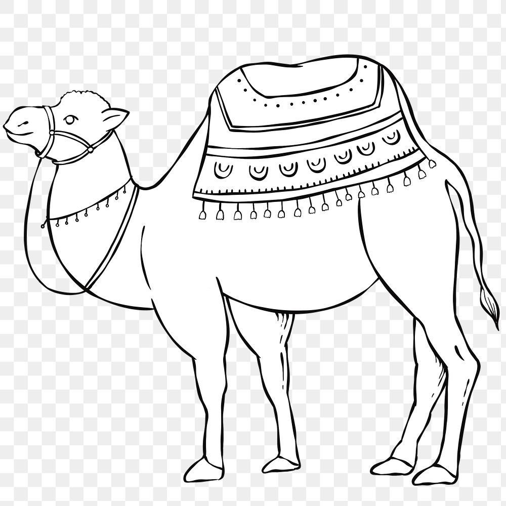 Hand drawn camel element png 