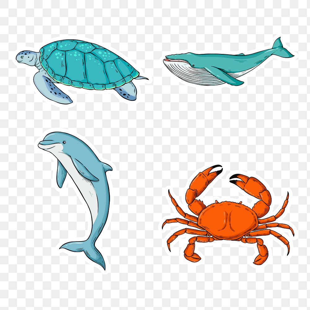 Png sea animal sticker set colorful clipart