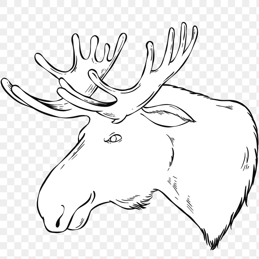 Png vintage moose hand drawn clipart black and white 