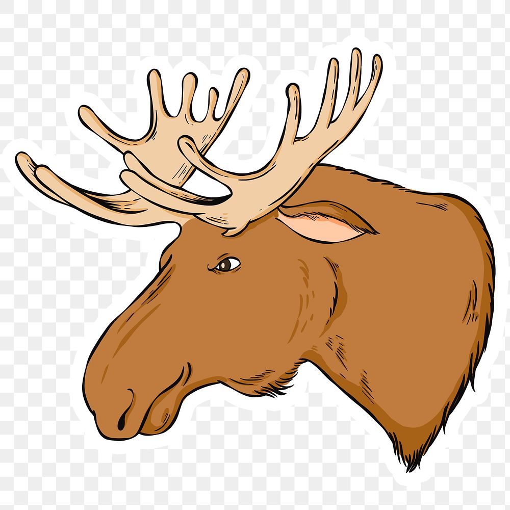Png vintage moose hand drawn clipart
