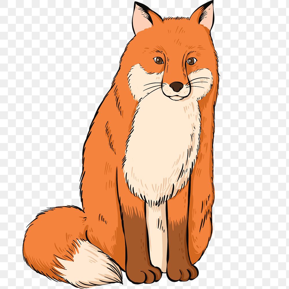 Png vintage fox colorful illustration