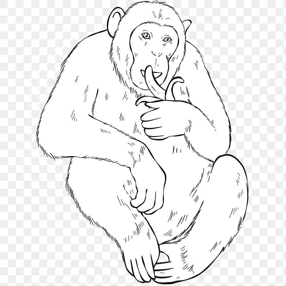 Png vintage hand drawn monkey cartoon clipart black and white 