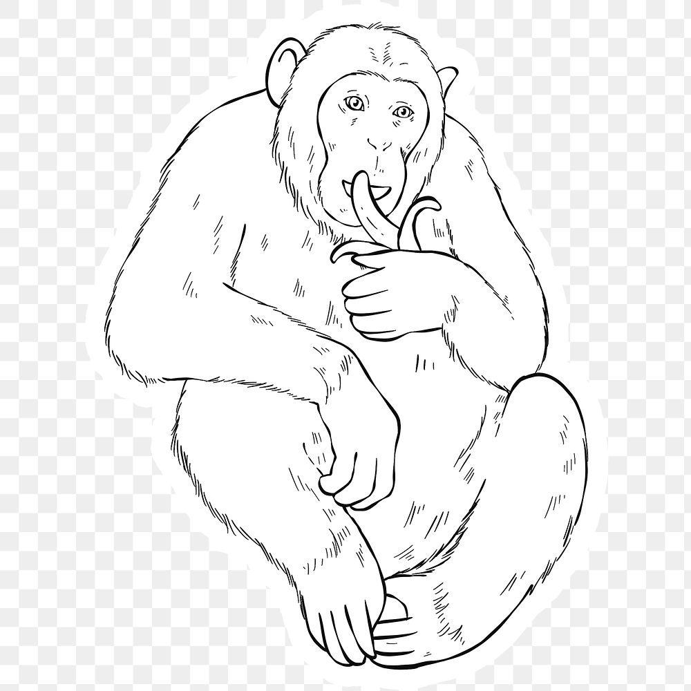 Png vintage hand drawn monkey cartoon clipart black and white