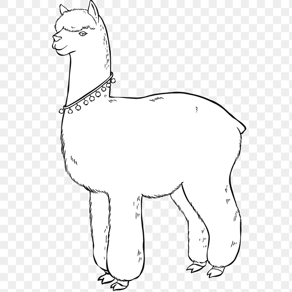 Vintage hand drawn png lama cartoon clipart black and white 