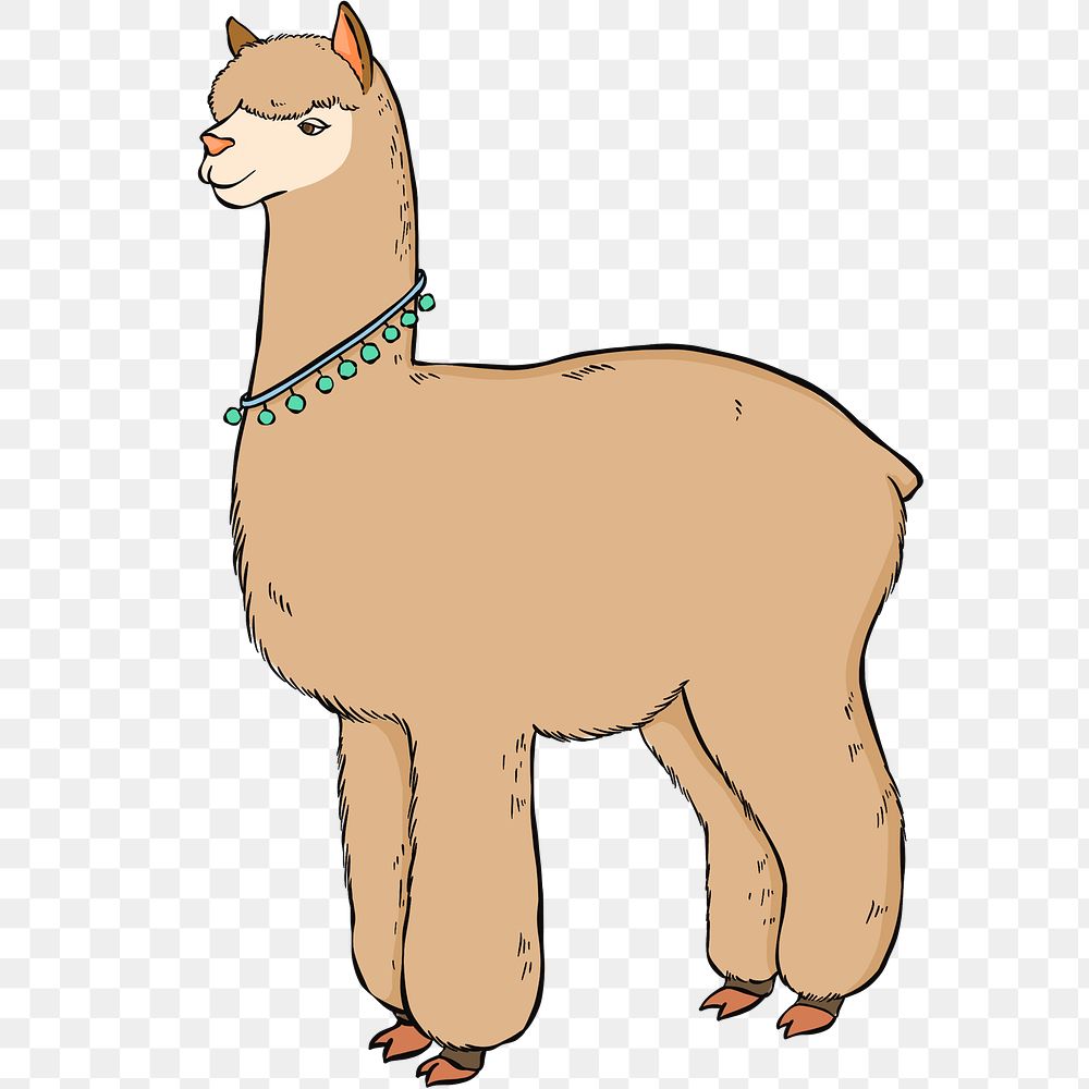 Png vintage hand drawn lama cartoon clipart