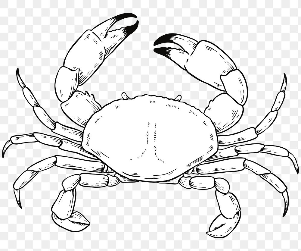 Crab png vintage black and white clipart