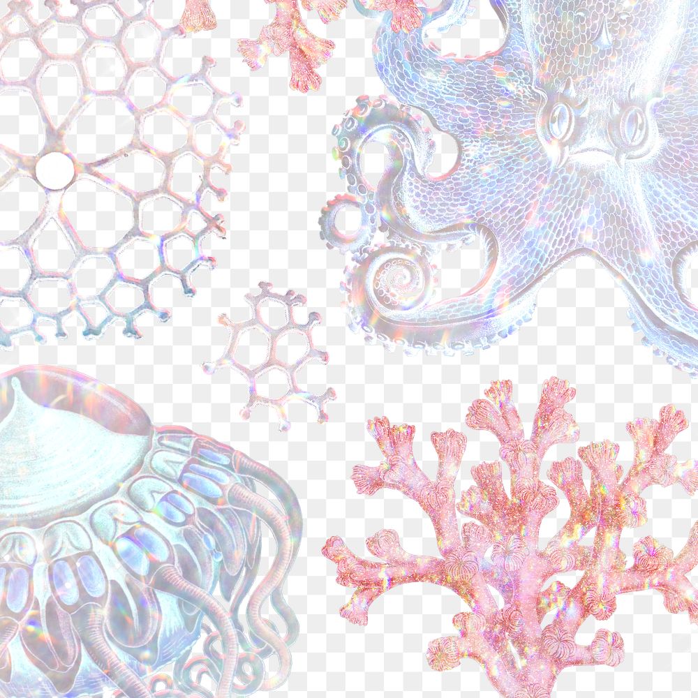 Set of holographic marine life background