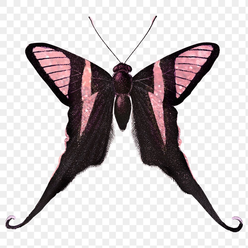 Glittery pink butterfly design element