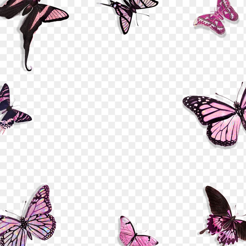 Pink holographic and glittery butterfly frame design element