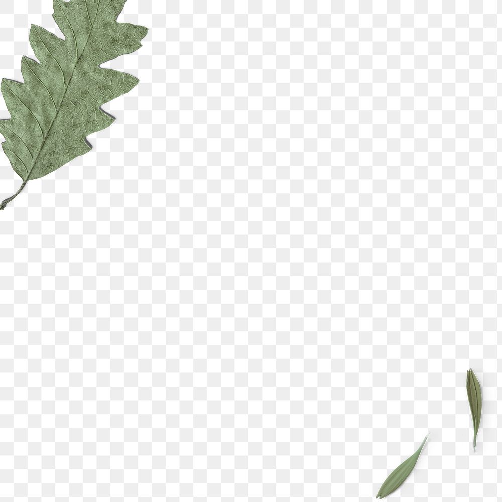 Green leafy border frame png