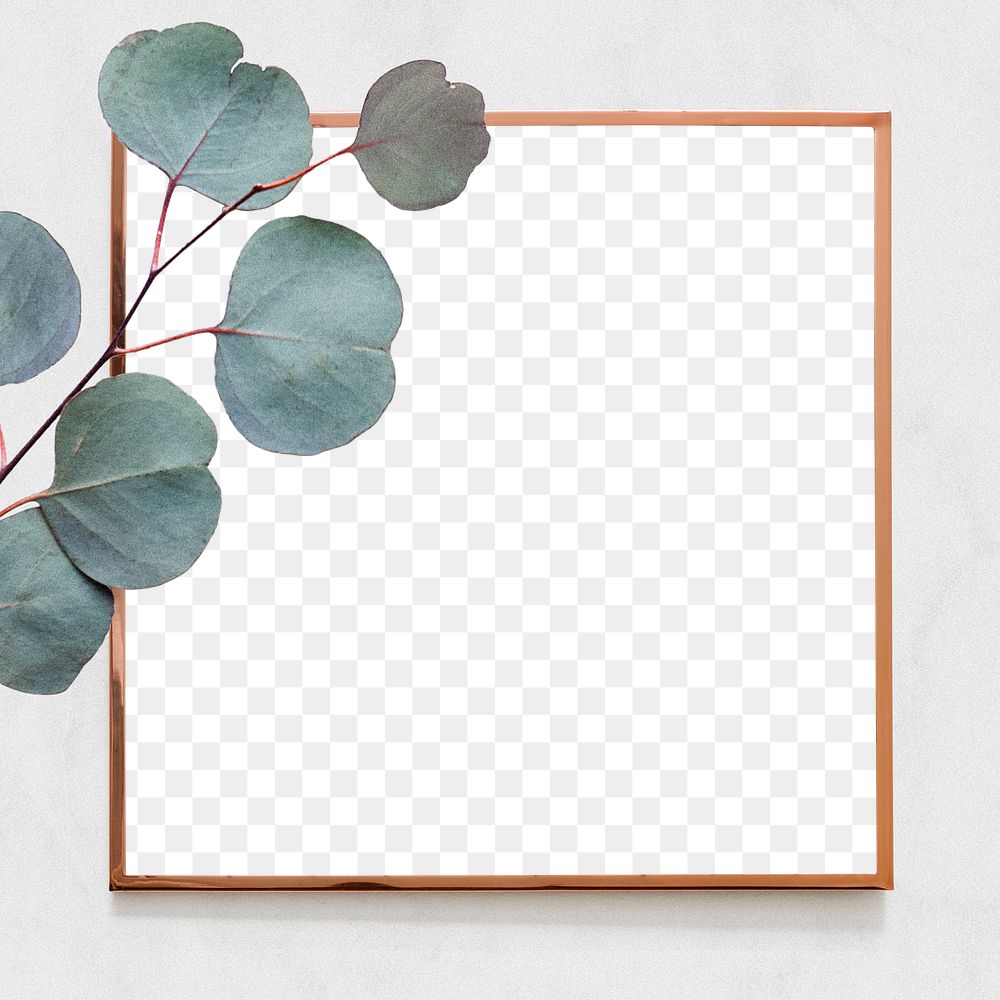 Eucalyptus gold frame png transparent background