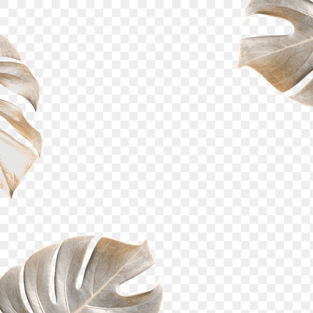Blank tropical leafy frame png 