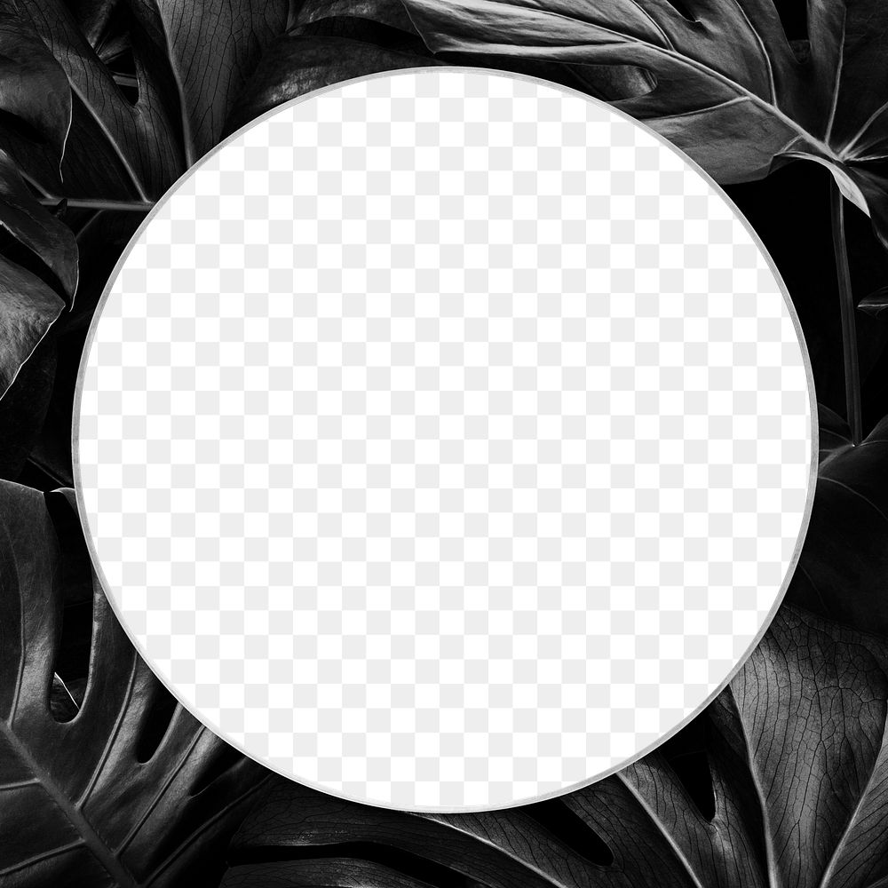Png round blank leafy frame