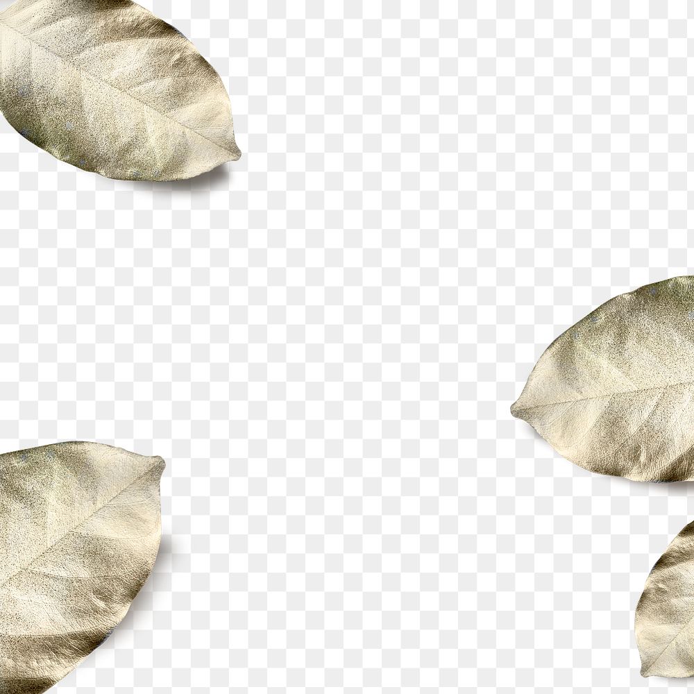 Gold spray painted leaves png background
