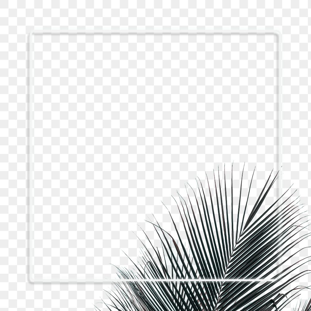 Palm leaf frame design element 