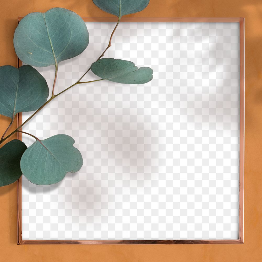 Square botany eucalyptus frame on a brown background 