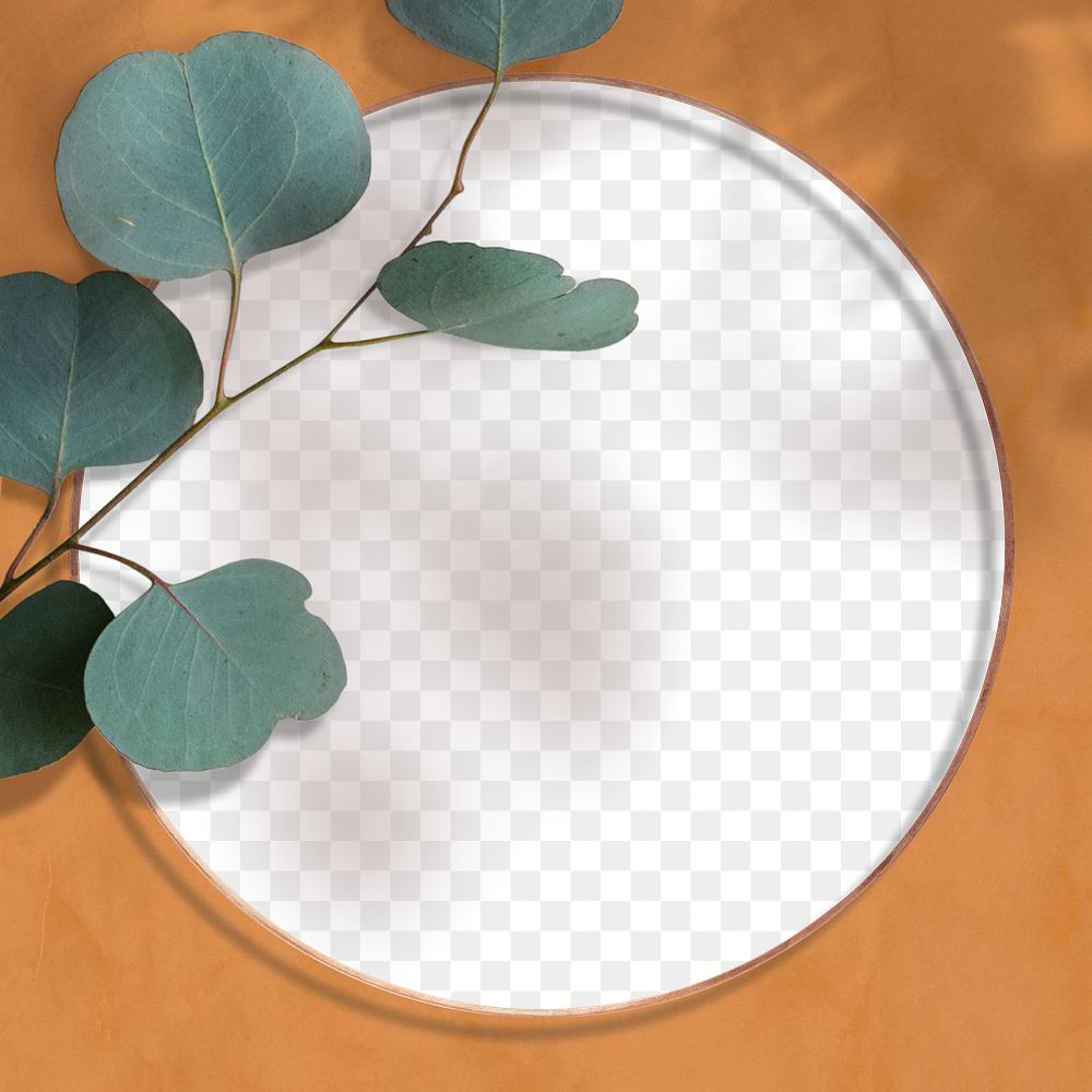 Round botany eucalyptus frame on a brown background 
