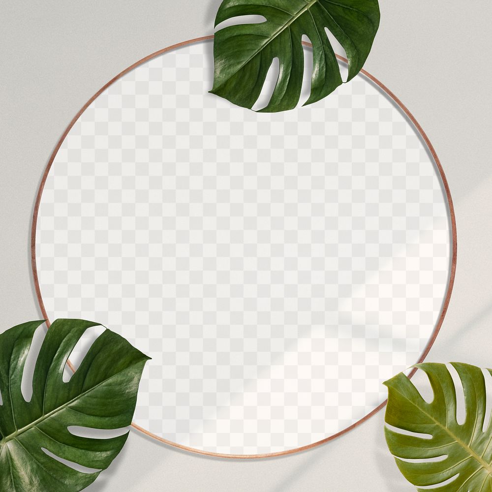 Gold round Monstera leaves on beige background