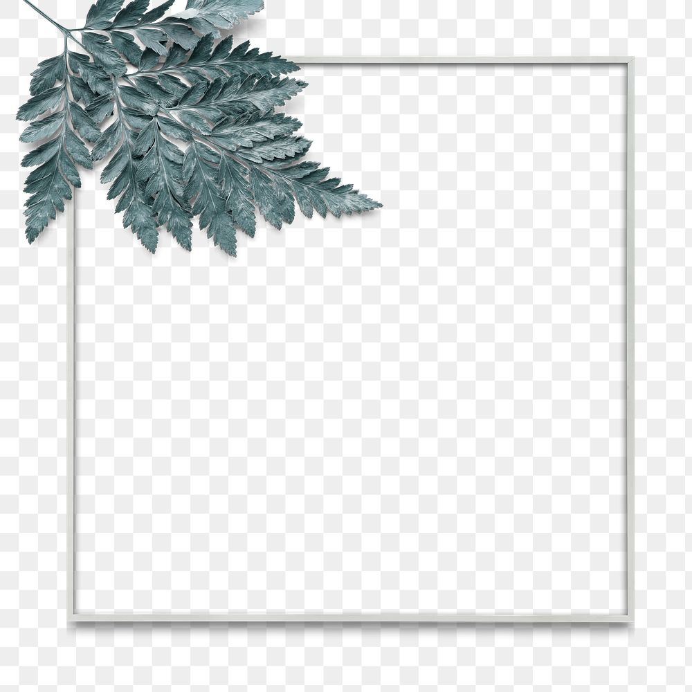 Png leatherleaf fern silver frame