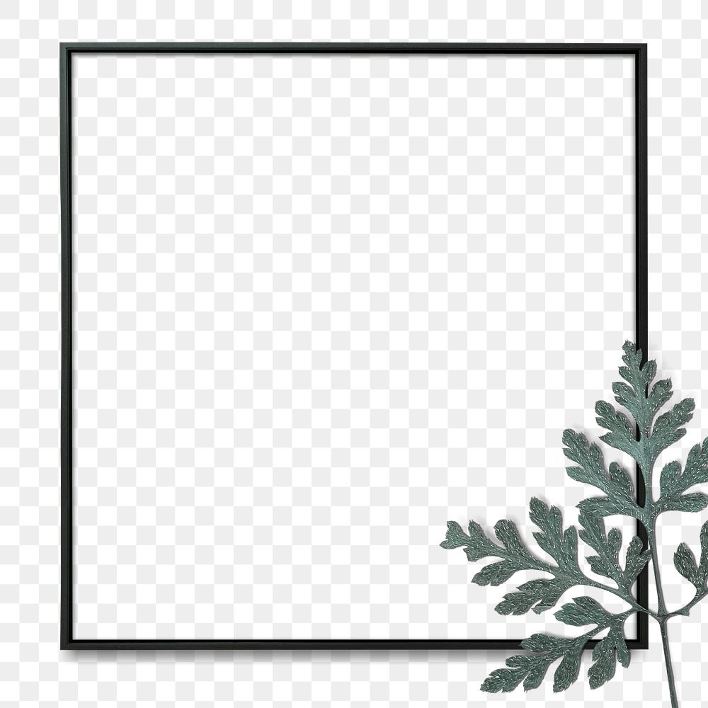 Fern leaf black frame png transparent background