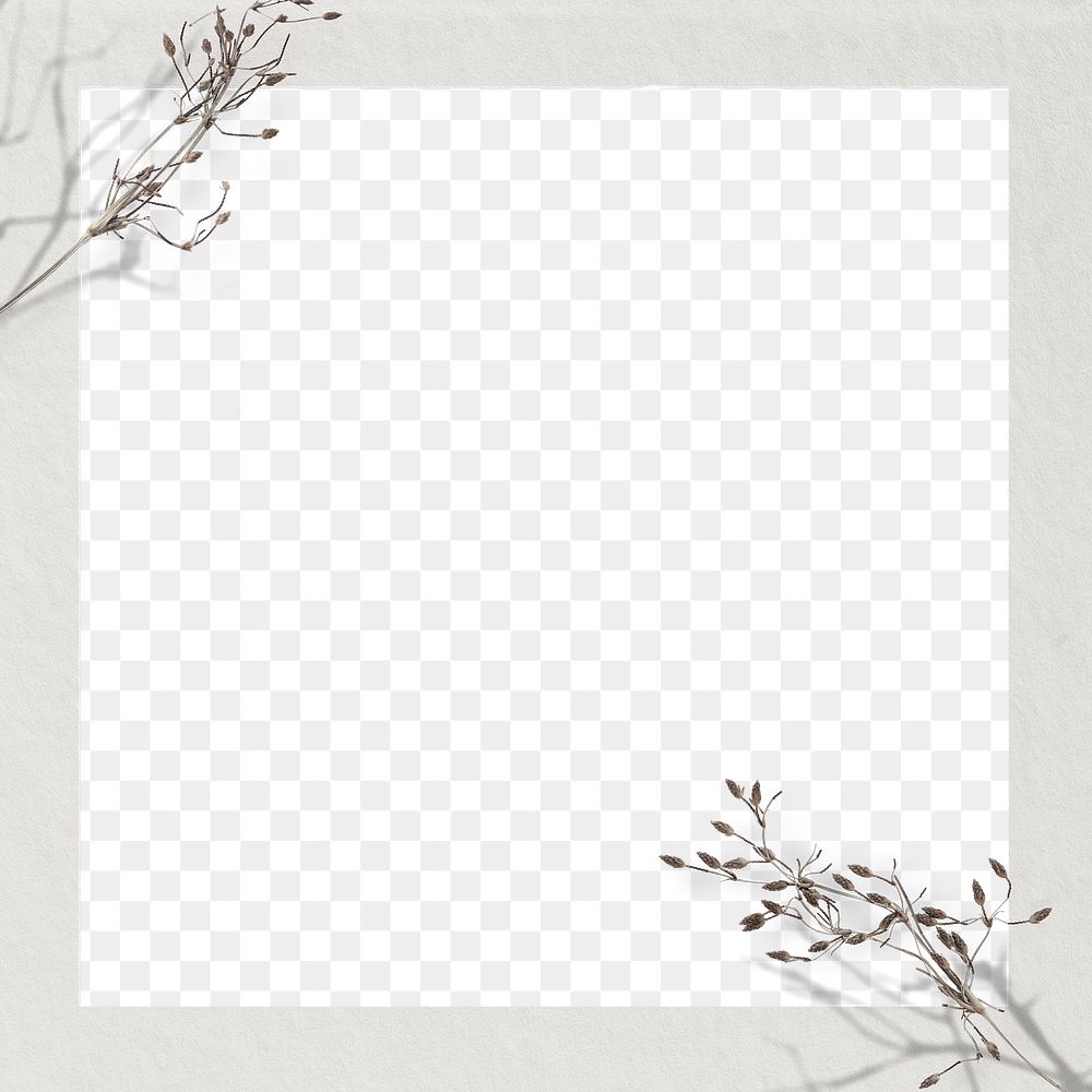 Png dry flower twig frame transparent background