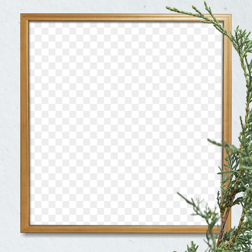 Png gold frame spruce twig gray background