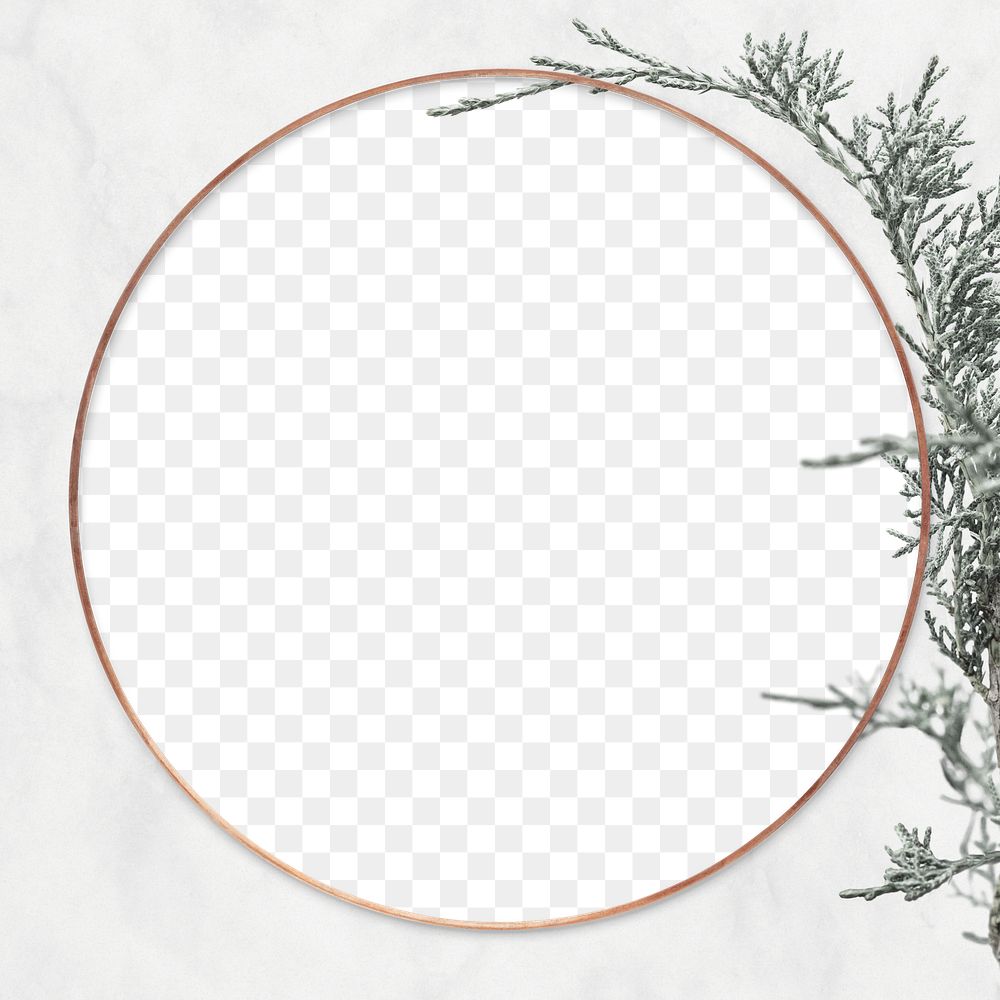 Png pine tree branch frame
