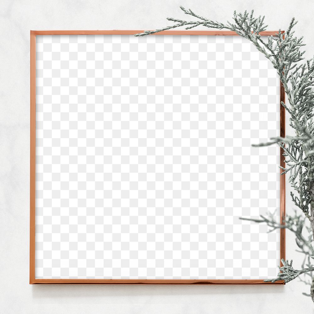 Pine tree branch gold frame png
