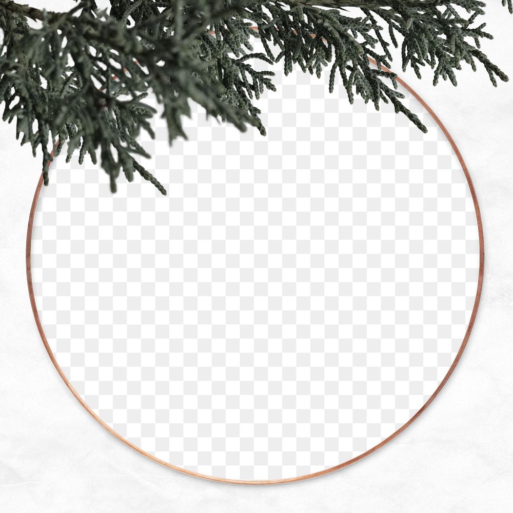 Png Christmas pine tree frame | Premium PNG - rawpixel