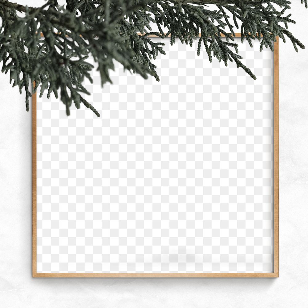 Gold frame pine tree png