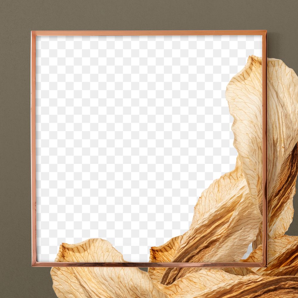 PNG dried leaf gold frame botanical design