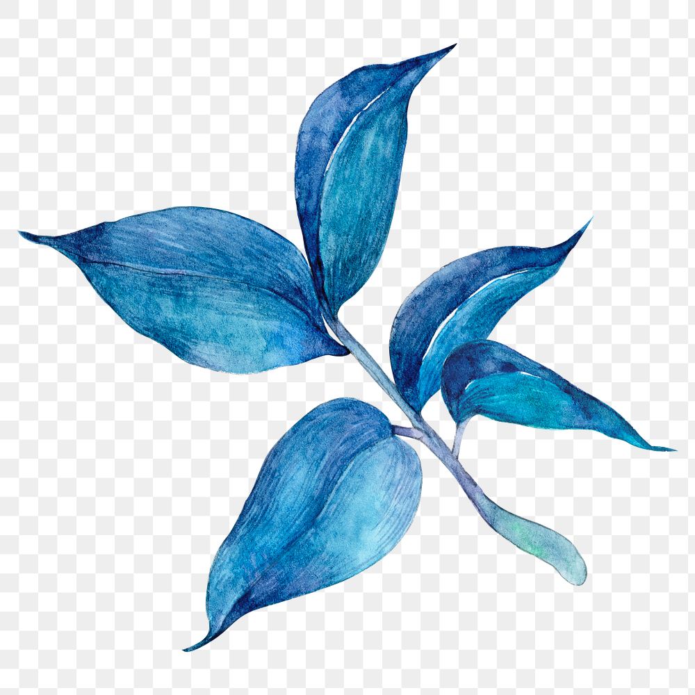 Blue watercolor leaf png botanical illustration