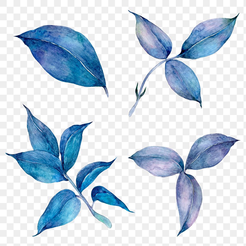Blue watercolor leaves botanical png illustrations