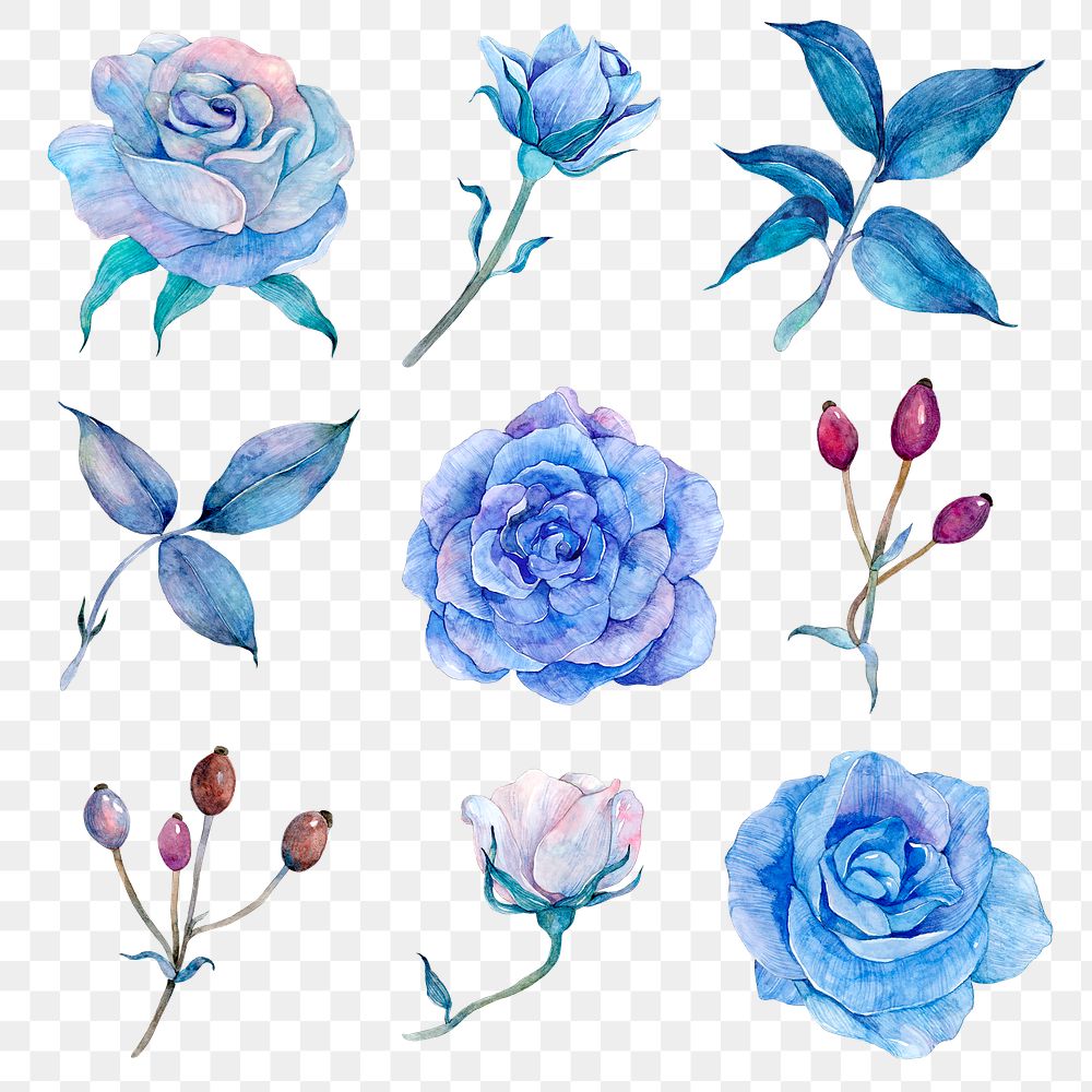 PNG blue watercolor flowers and leaves set