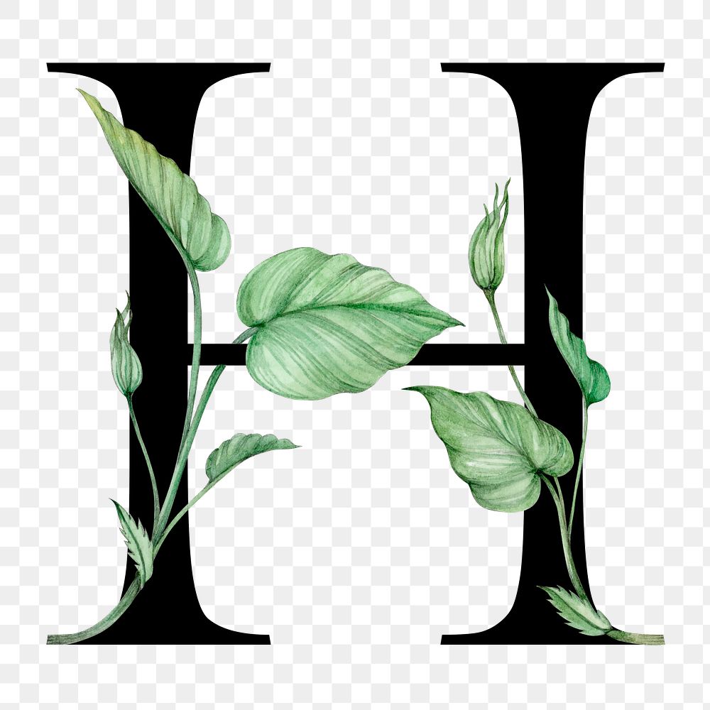 Png alphabet h sticker font floral typography