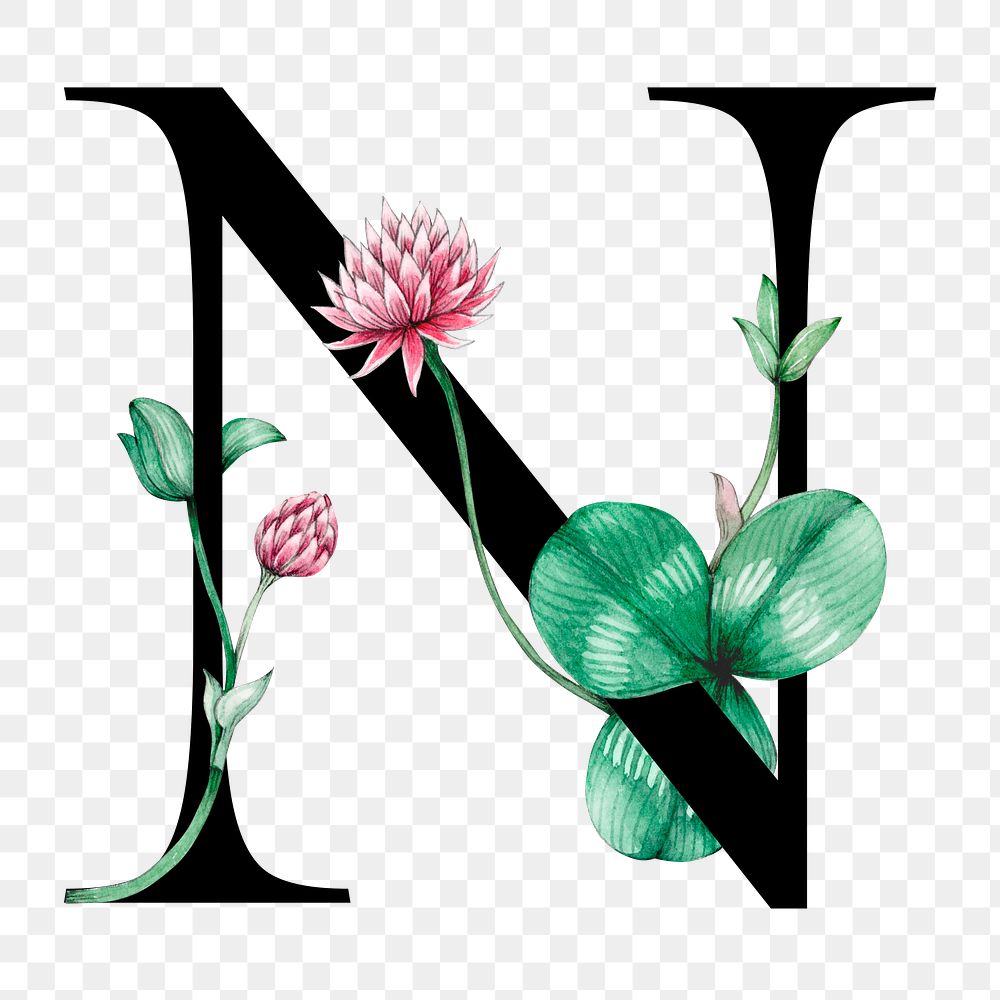 Png alphabet n sticker font floral typography