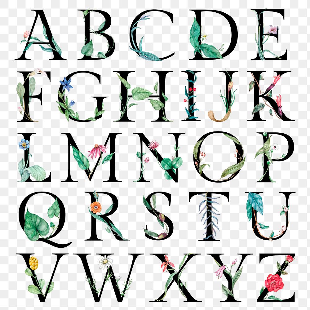 Png a-z alphabet set botanical watercolor typography