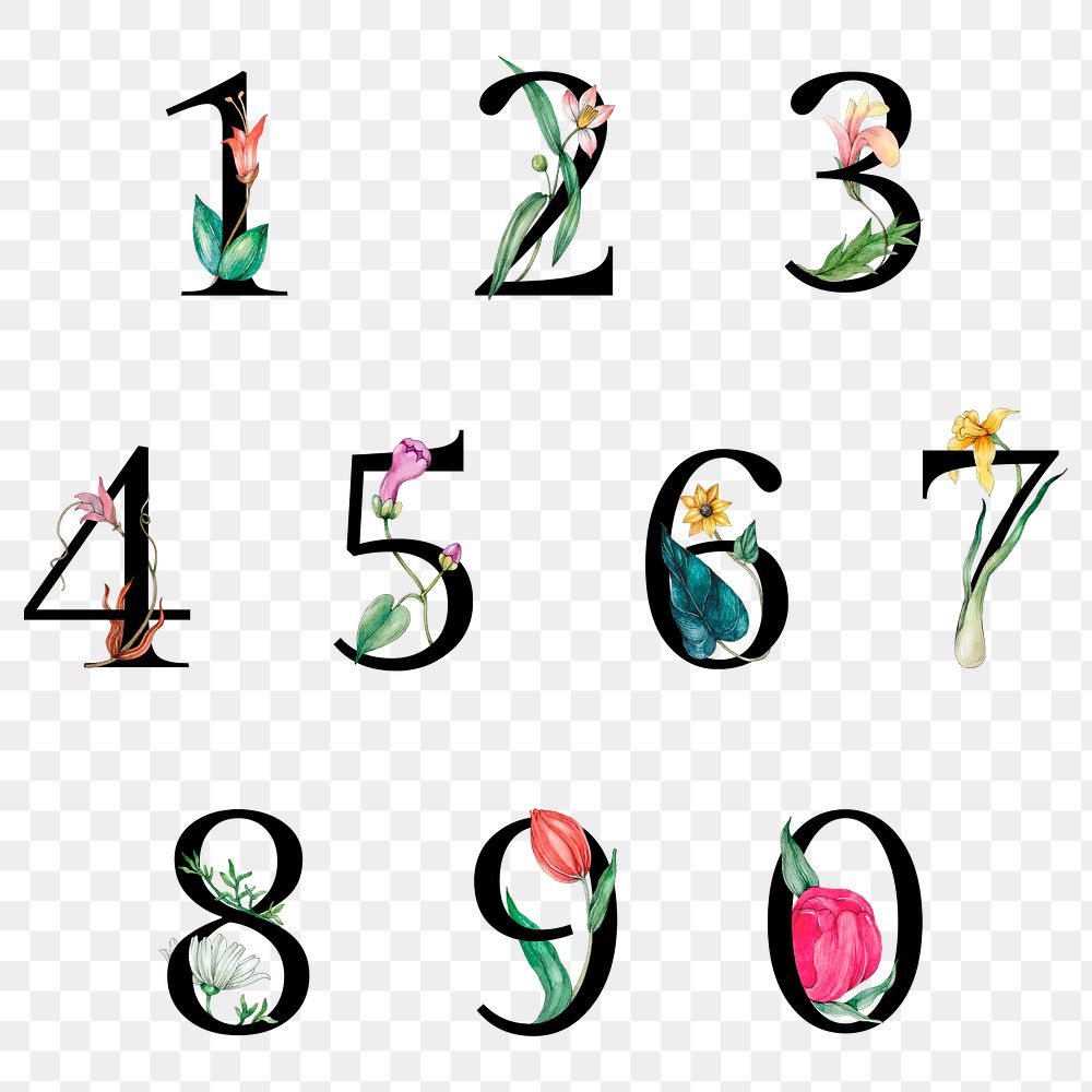 Png 123 number set botanical vintage typography