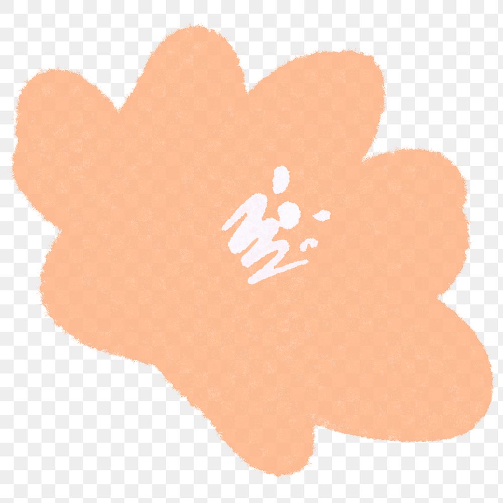 Orange flower hand drawn png botanical illustration