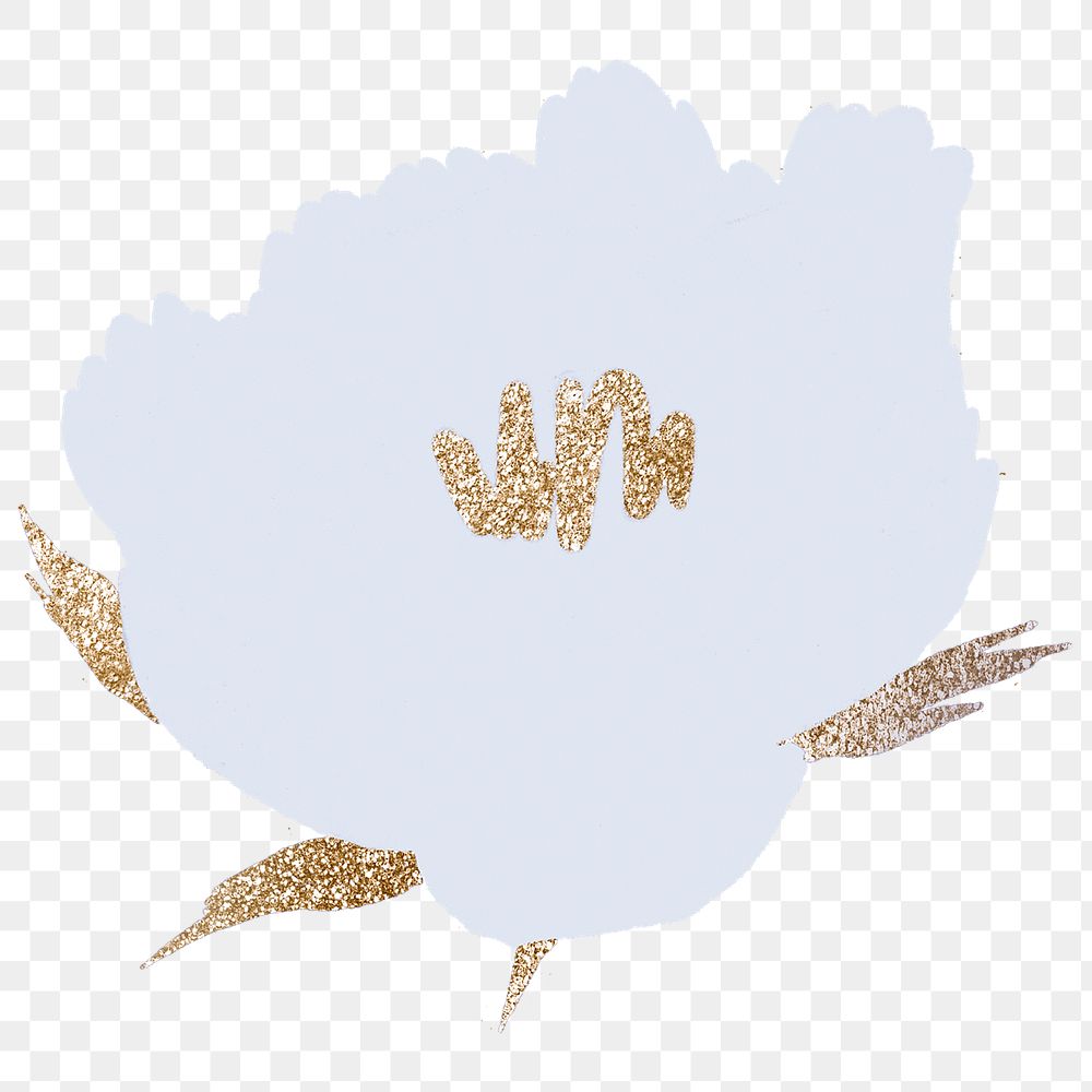 White flower hand drawn png botanical illustration