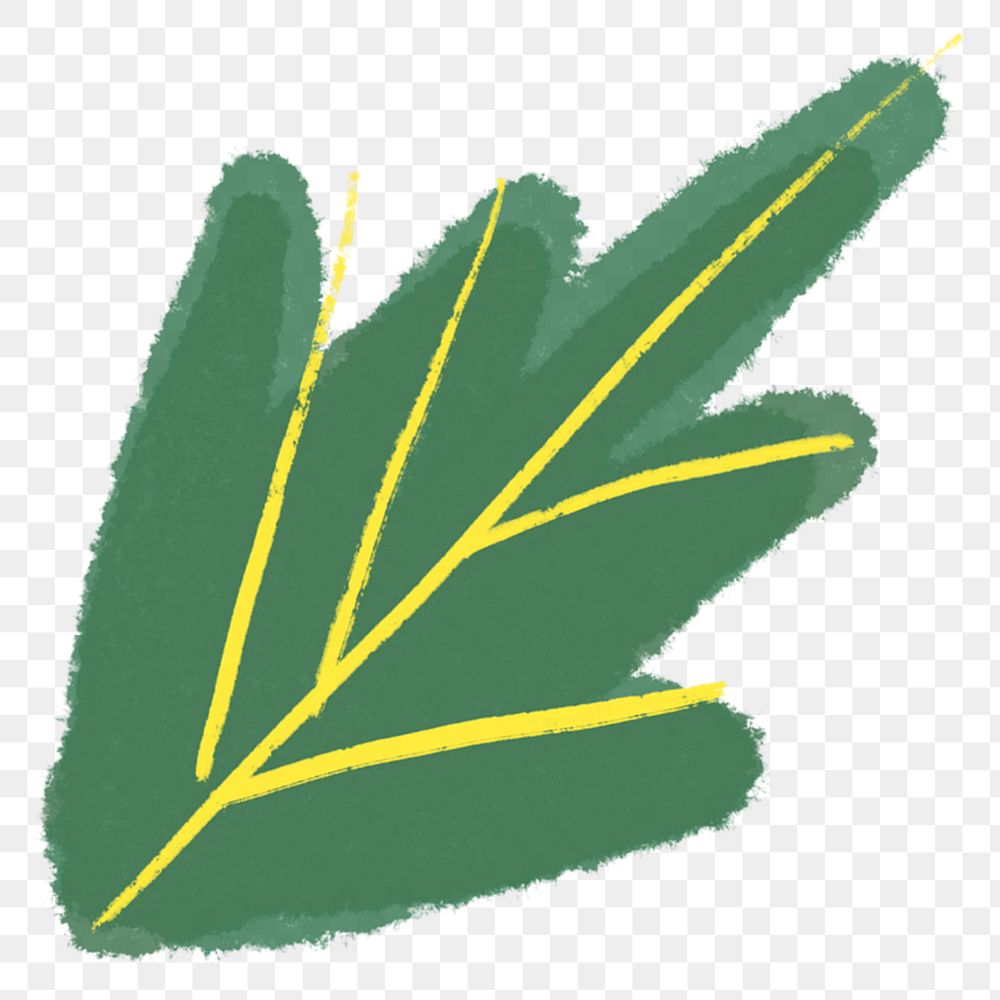 Green leaf png botanical hand drawn
