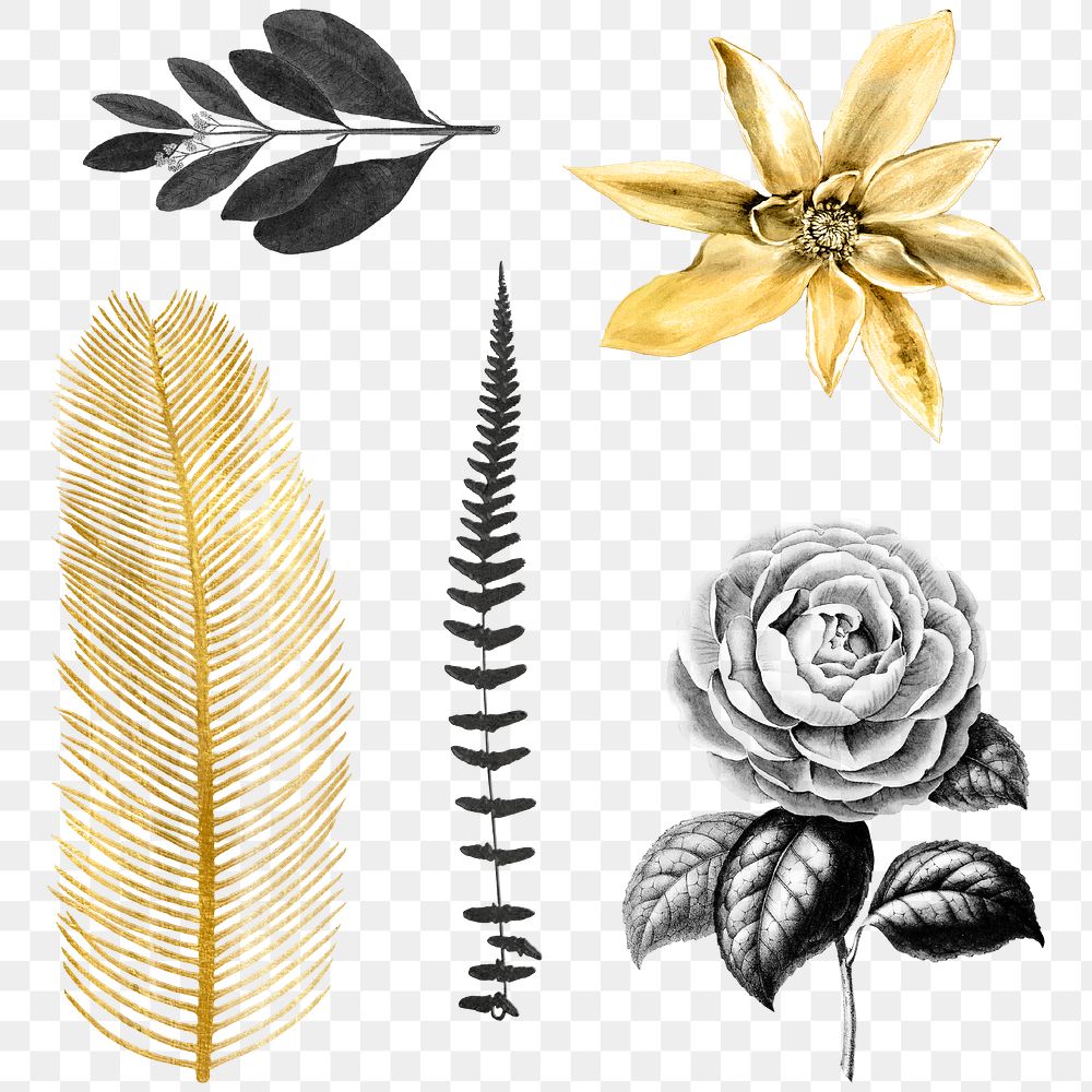 Flowers and leaf png gold and black hand drawn botanical sticker set