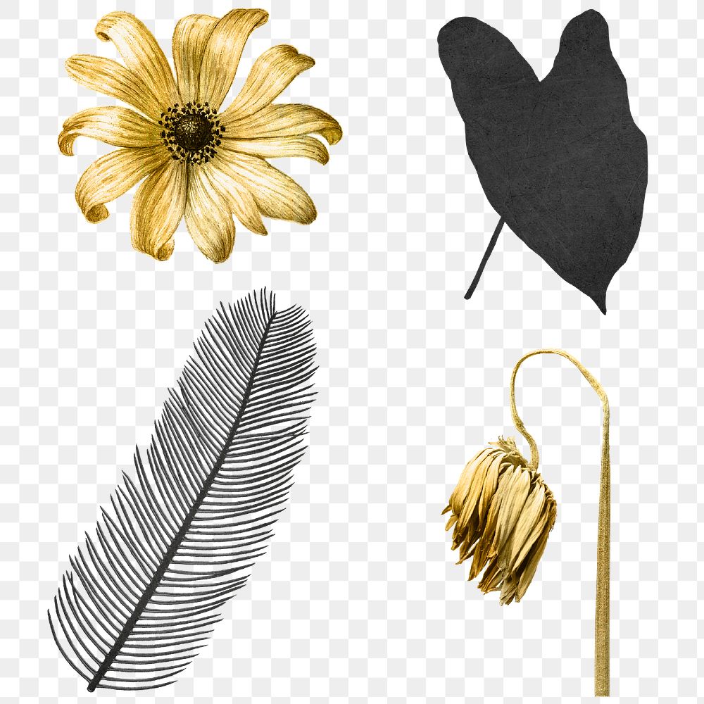 Png golden black leaf flowers metallic vintage sticker set
