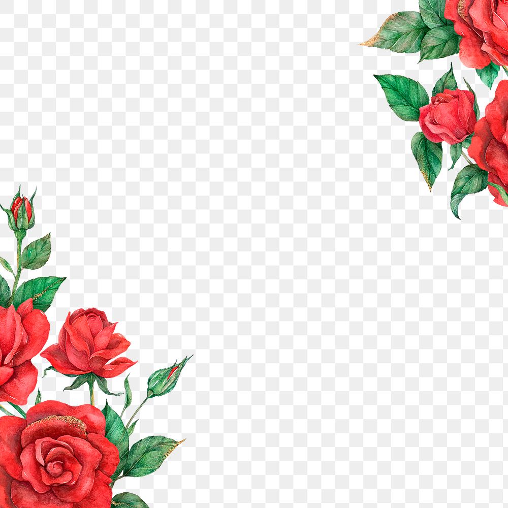 Red rose png transparent background for social media post