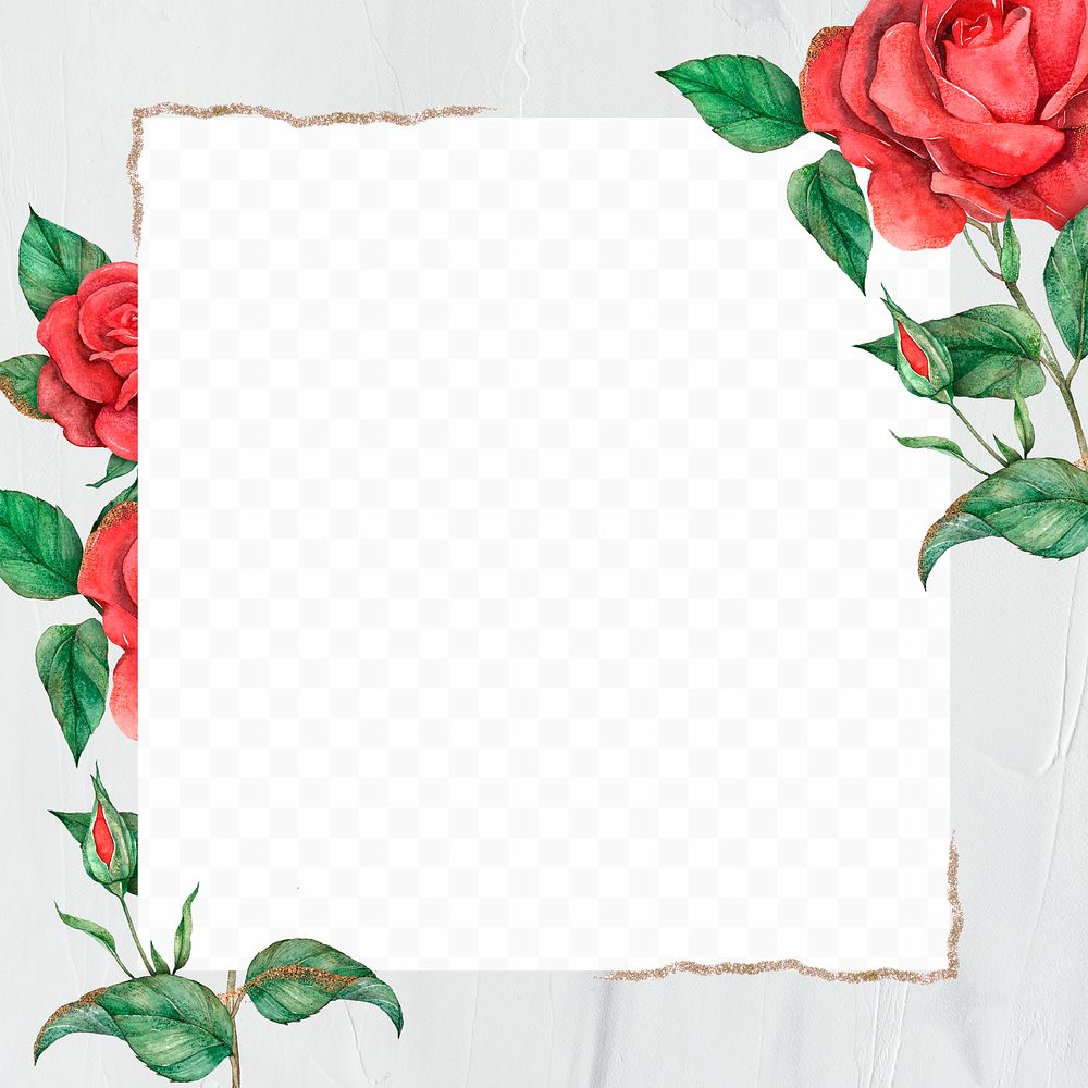 Blooming rose border frame png transparent background