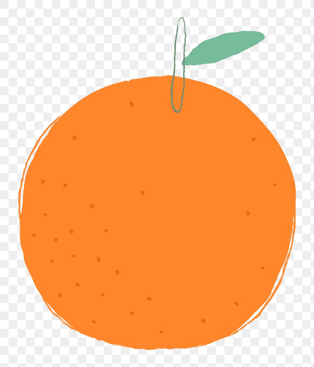 Png pastel hand drawn orange fruit clipart