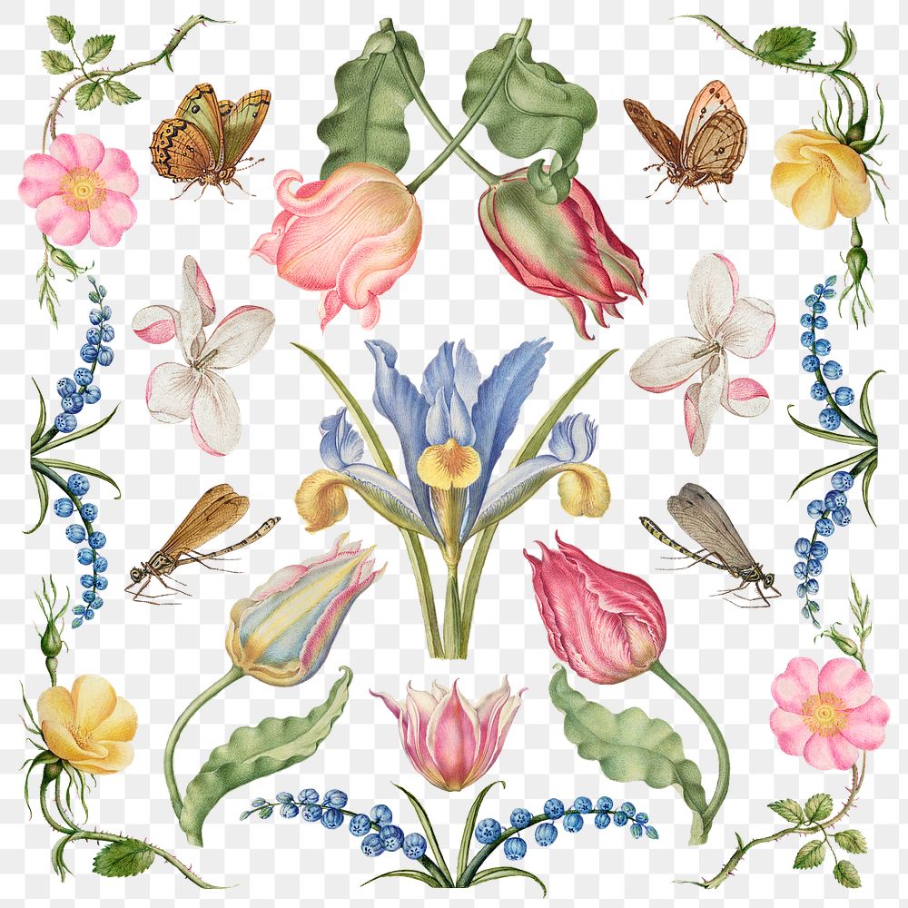 Hand drawn flowers png floral illustration set, remix from The Model Book of Calligraphy Joris Hoefnagel and Georg Bocskay