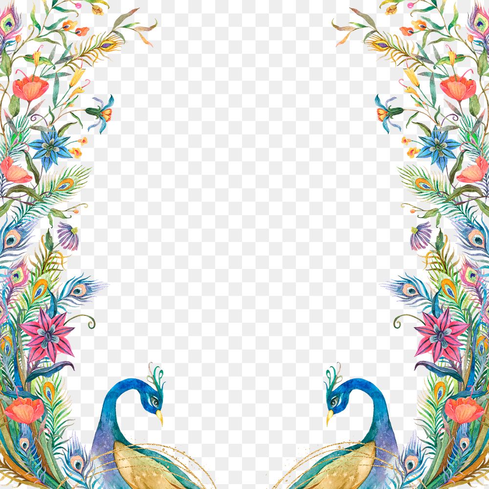 Png frame with watercolor peacock and flower border on transparent background