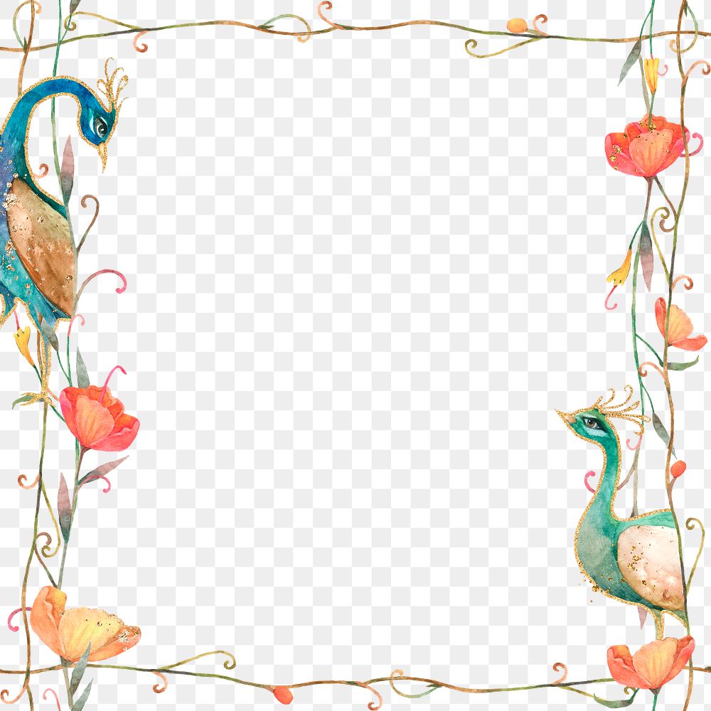 Png frame with watercolor peacock and flower pattern