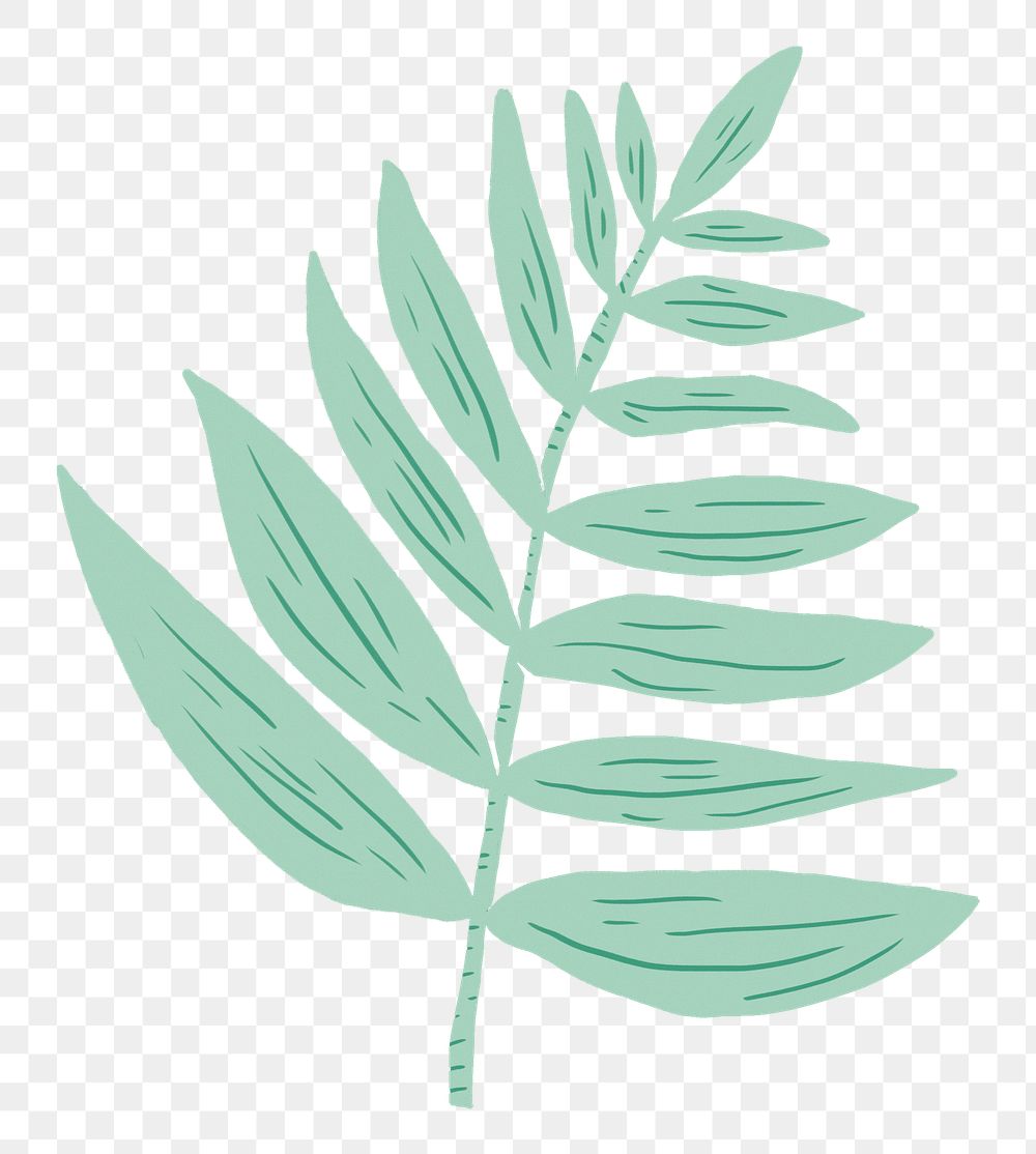 Vintage mint green leaves png sticker stencil pattern drawing